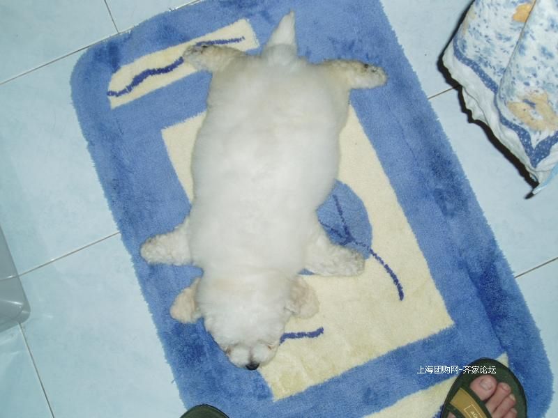 w0zhbjnZ.jpg