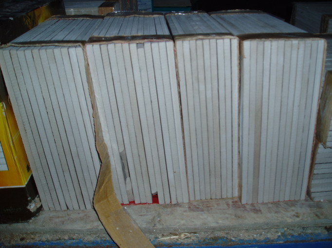 P9290022.JPG