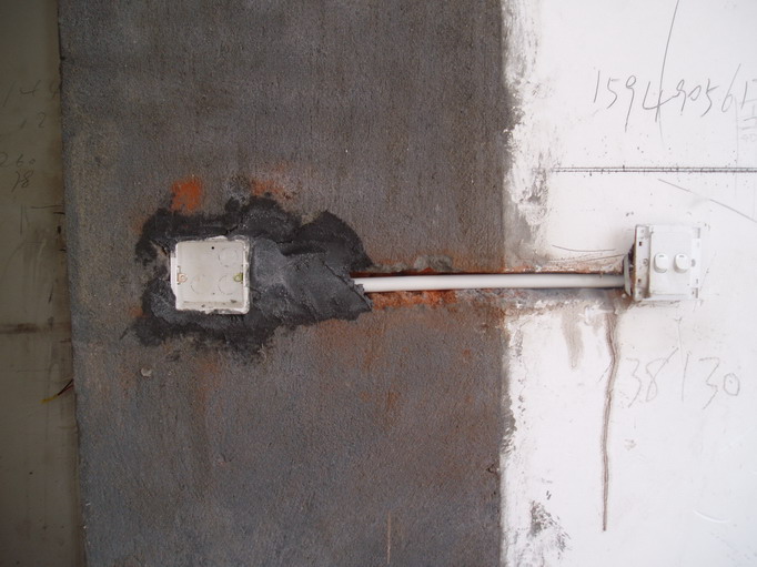 PA010093.JPG