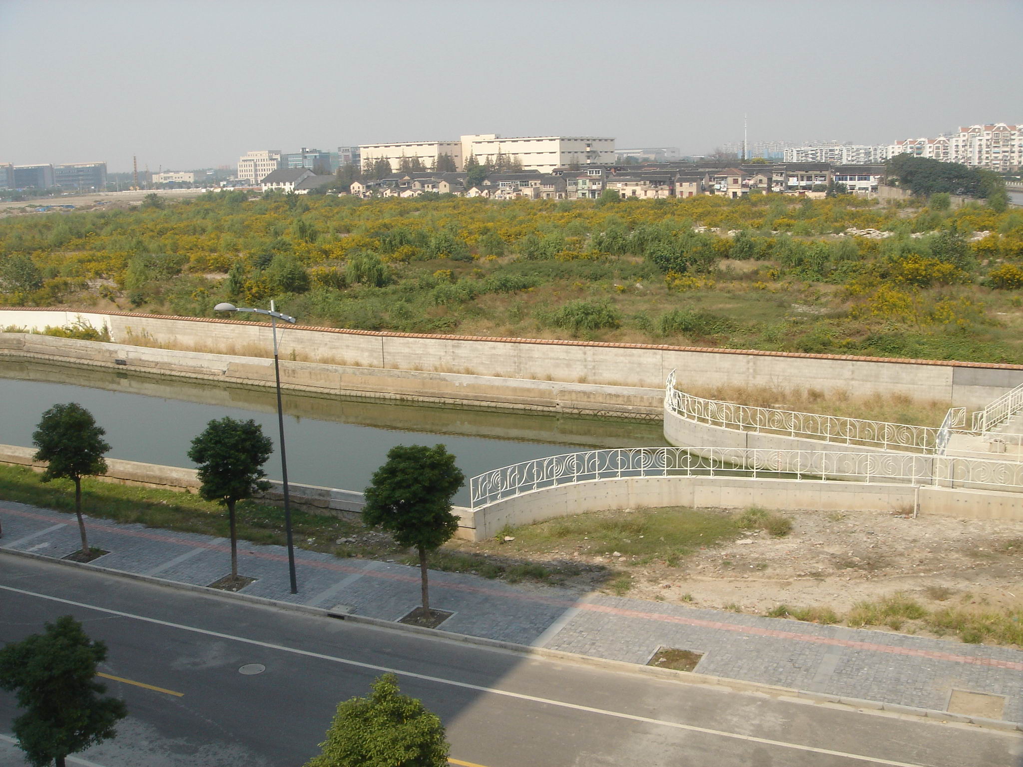 DSC08255.jpg