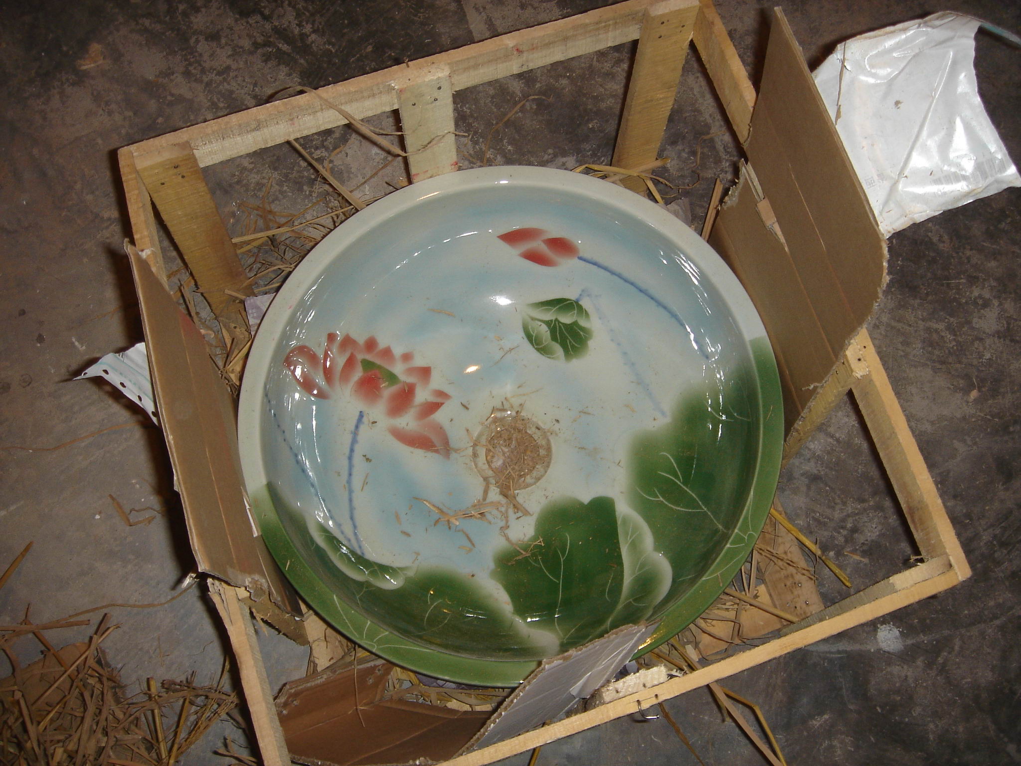 DSC08237.jpg