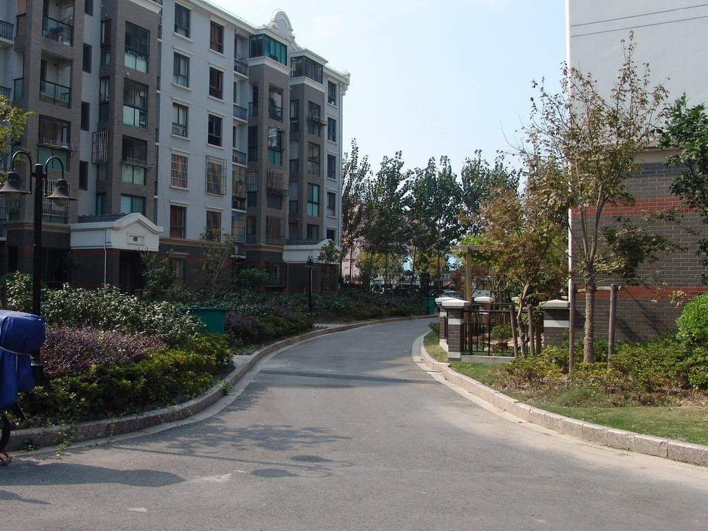 DSC00493.jpg