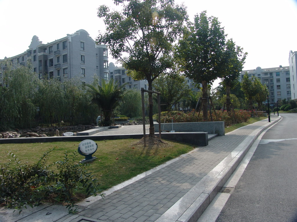 DSC00489.JPG