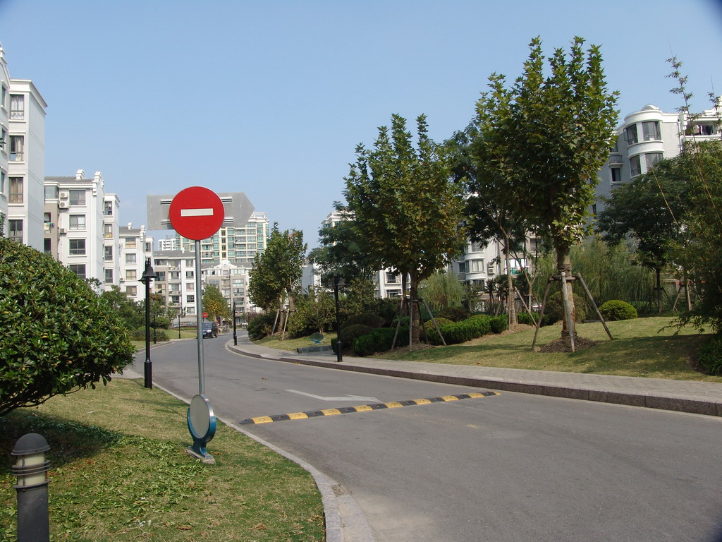 DSC00494.JPG