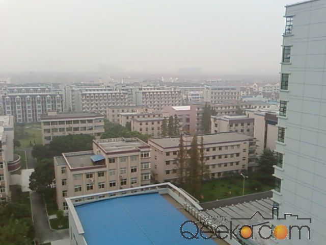 SP_A0202.jpg