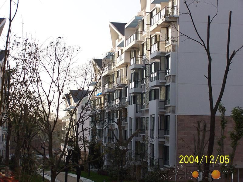 682229_100_1468.jpg