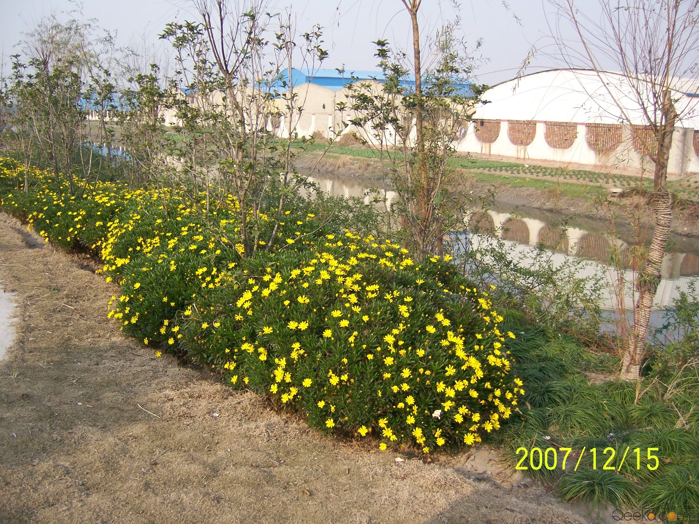 100_1390.jpg