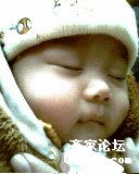 IMG0065A.jpg