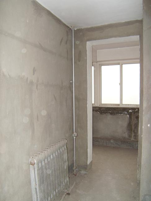 SL740373.JPG