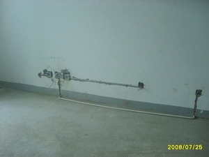 S6001095.JPG