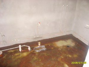 S6001097.JPG