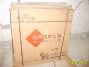 S6001154.JPG