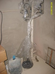 S6001161.JPG