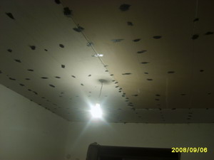 S6001165.JPG