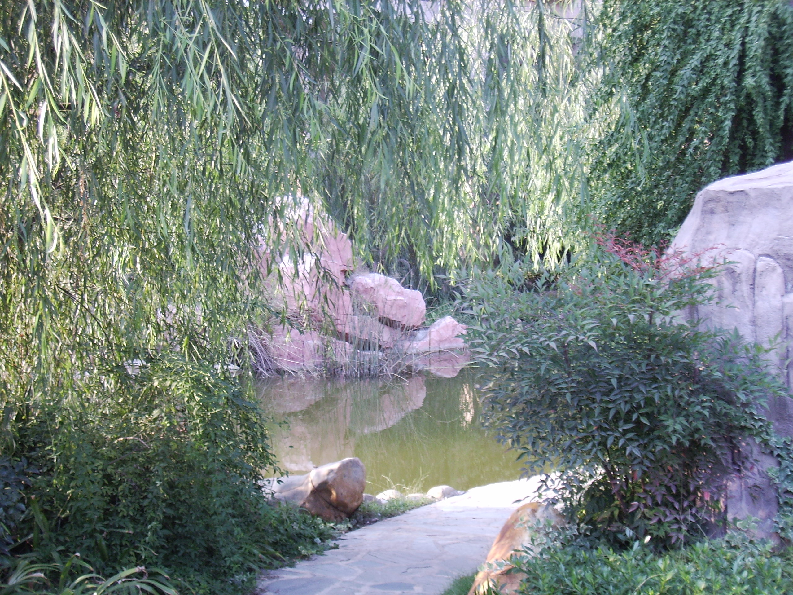 小区水景.JPG