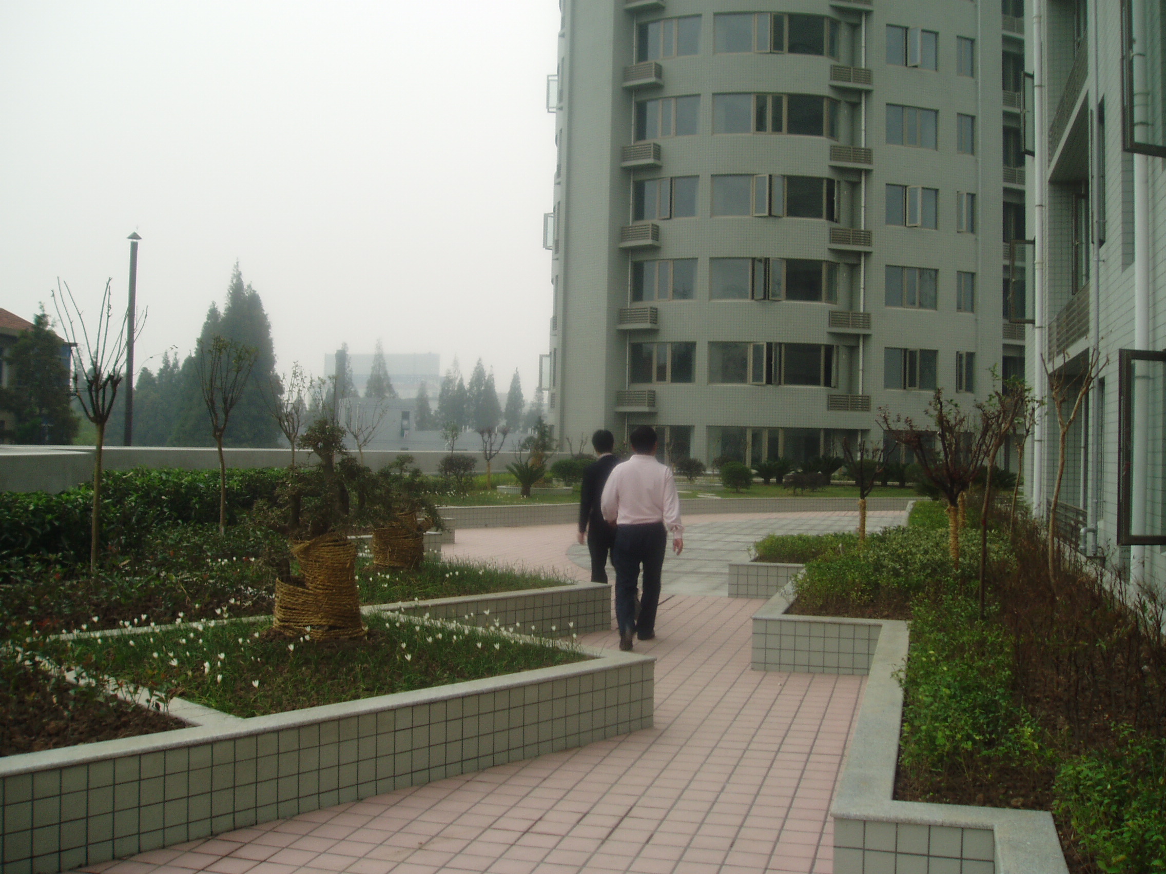 PA080003.JPG