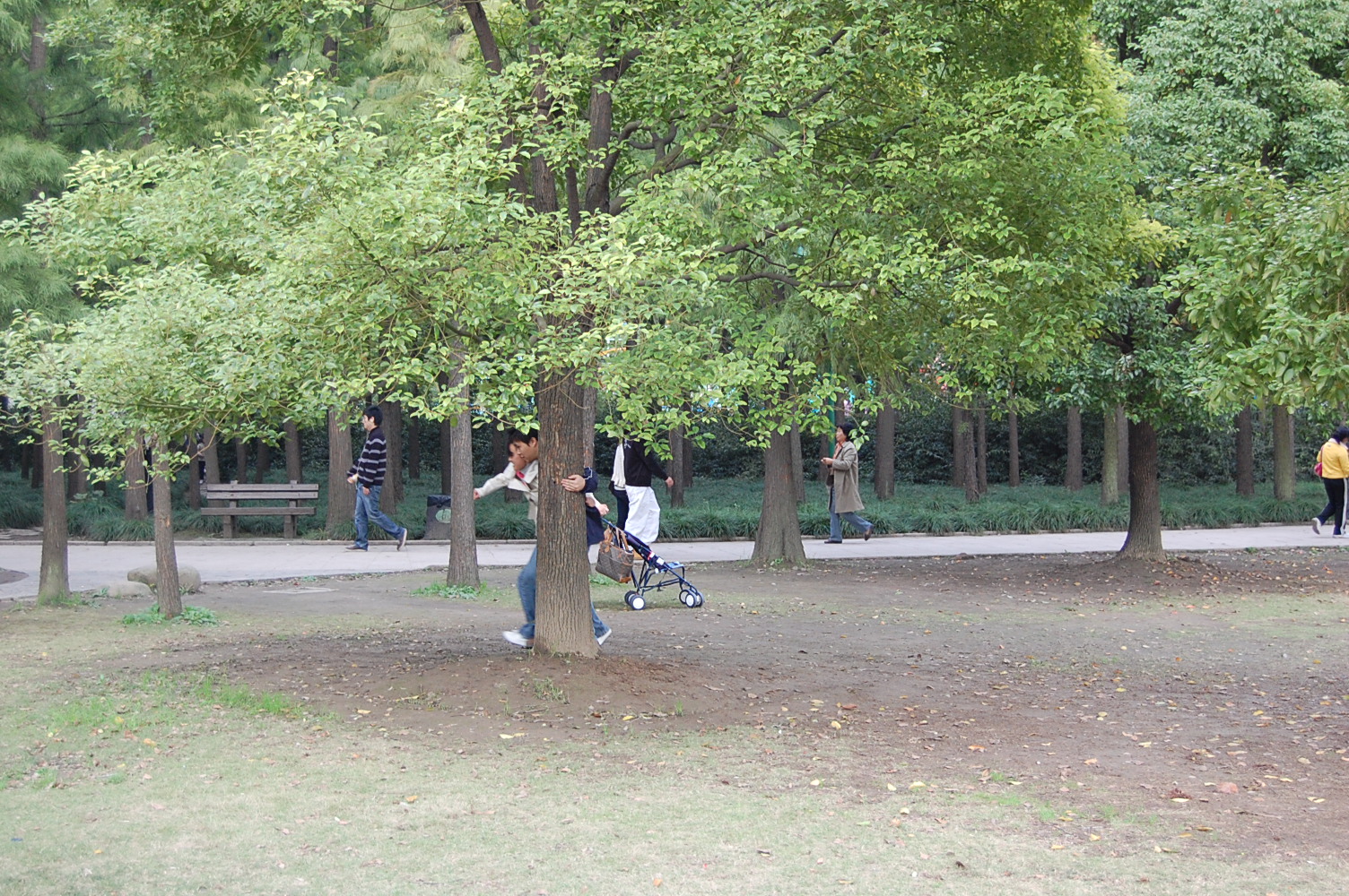 DSC_2379.jpg