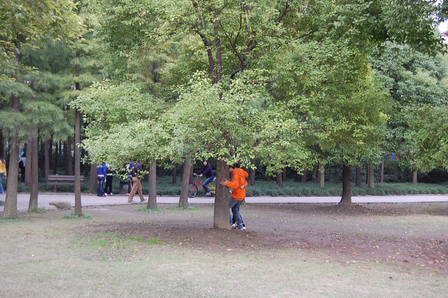DSC_2387.jpg