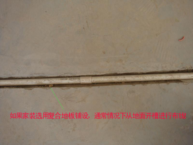 1235副本.jpg