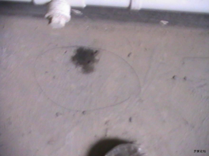 PIC_0734.JPG