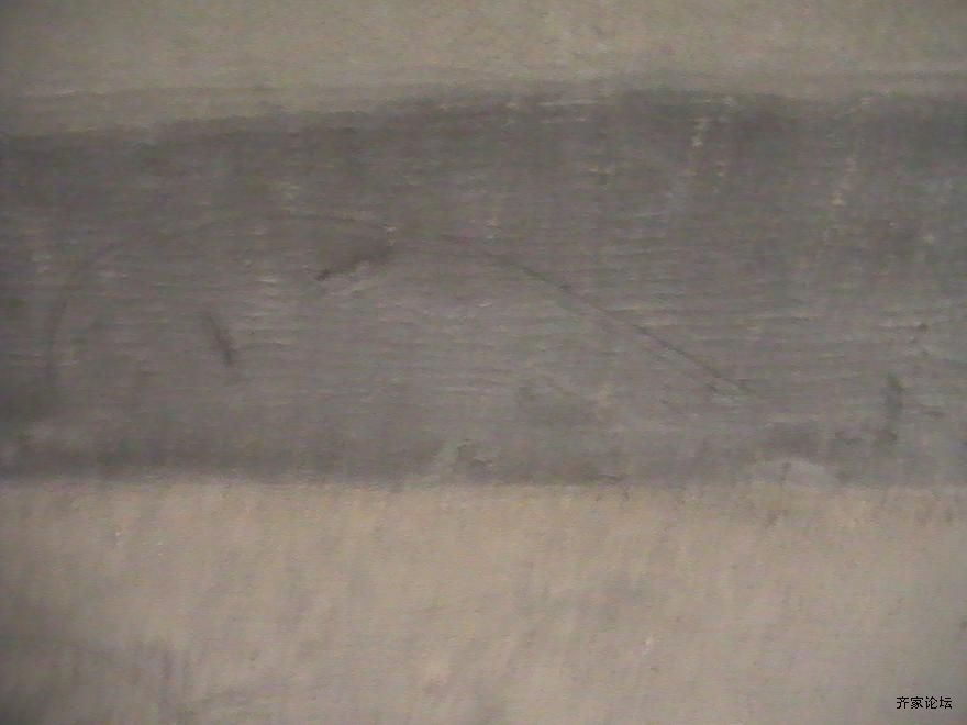 PIC_0733.JPG