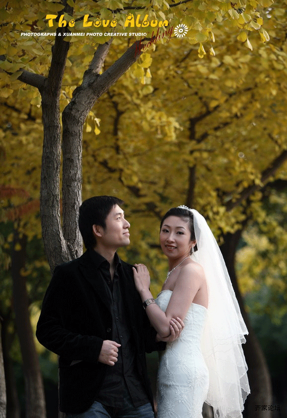 婚纱照3.gif