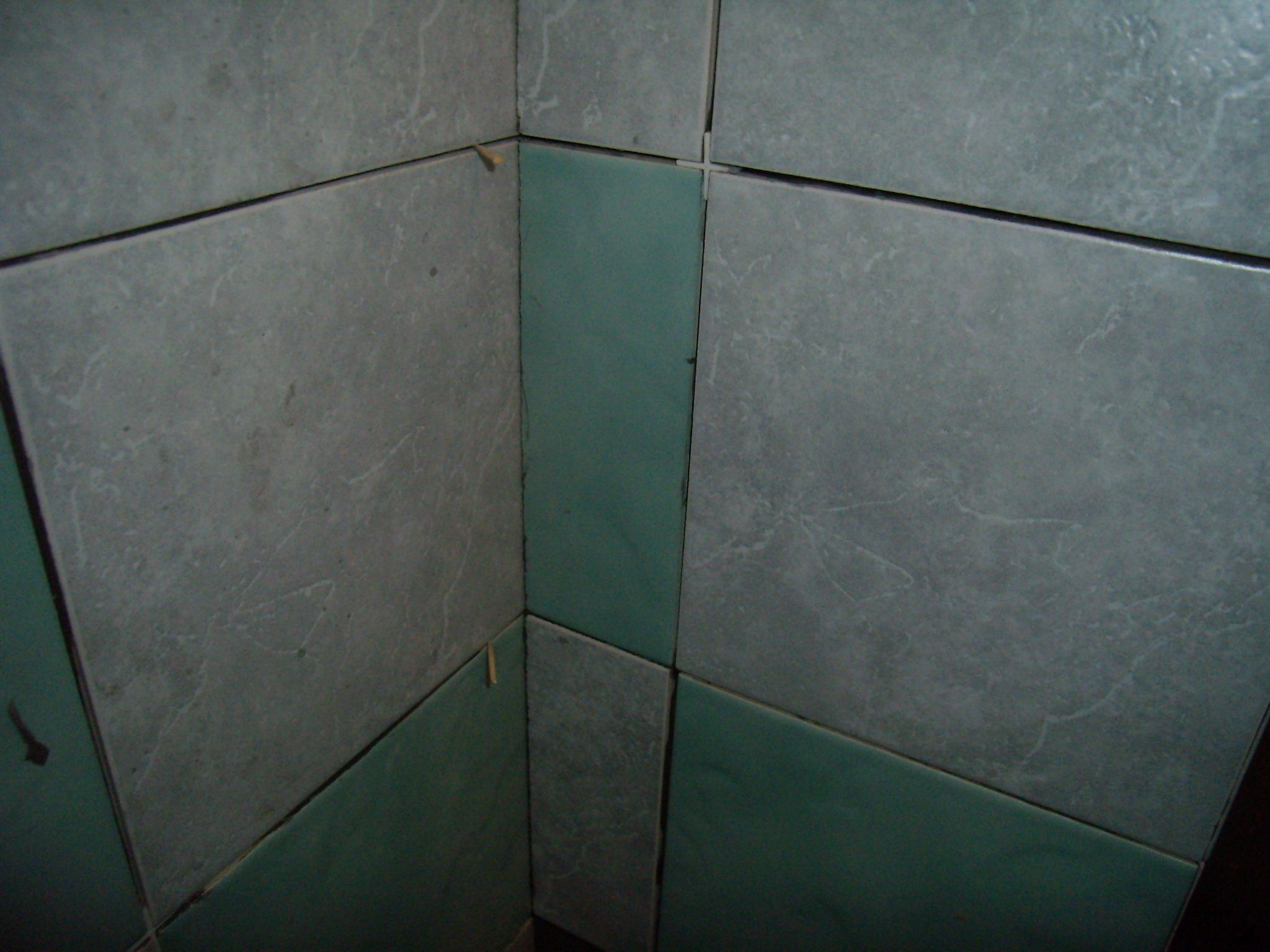 P2170018.JPG