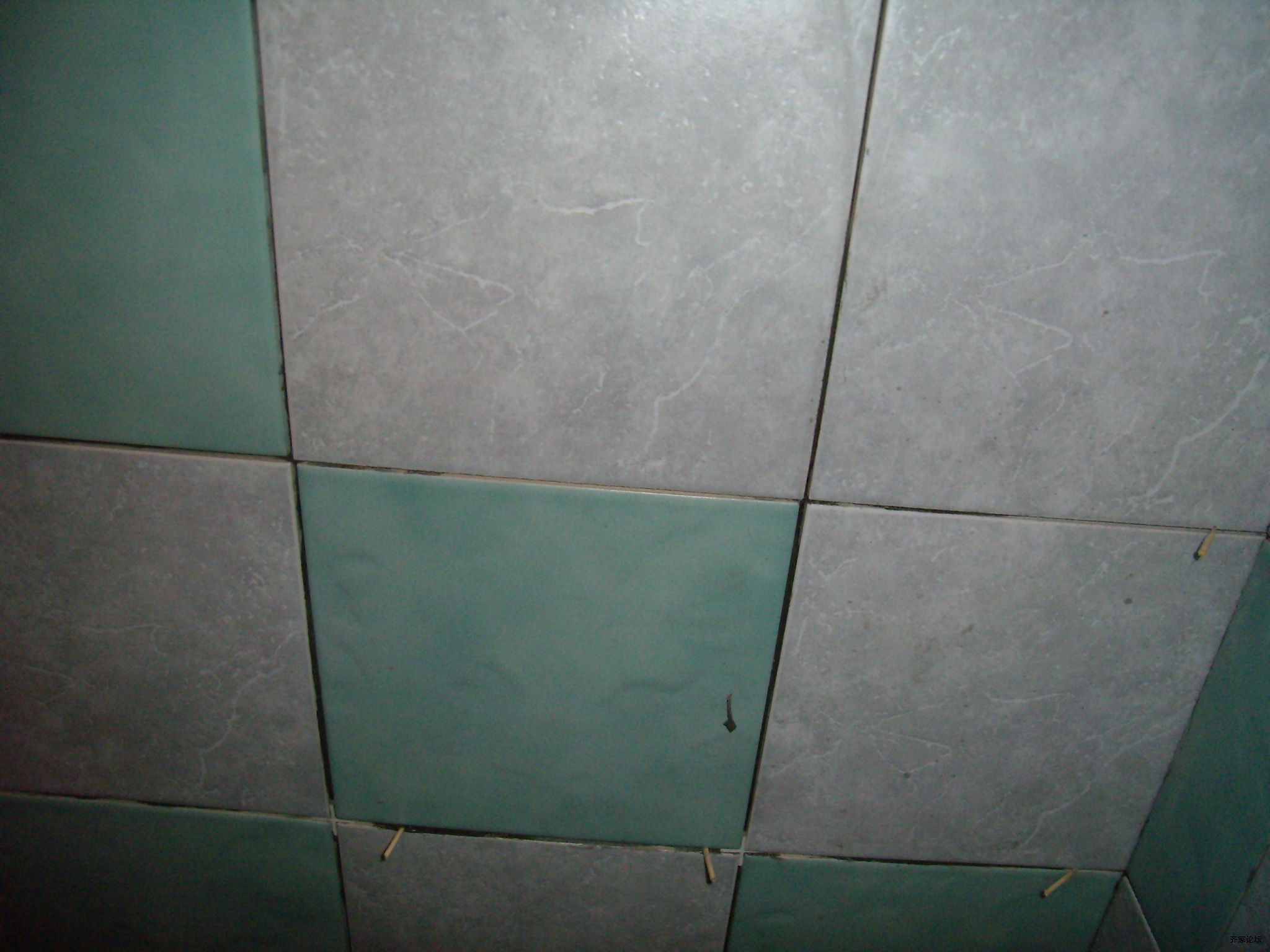 P2170017.JPG