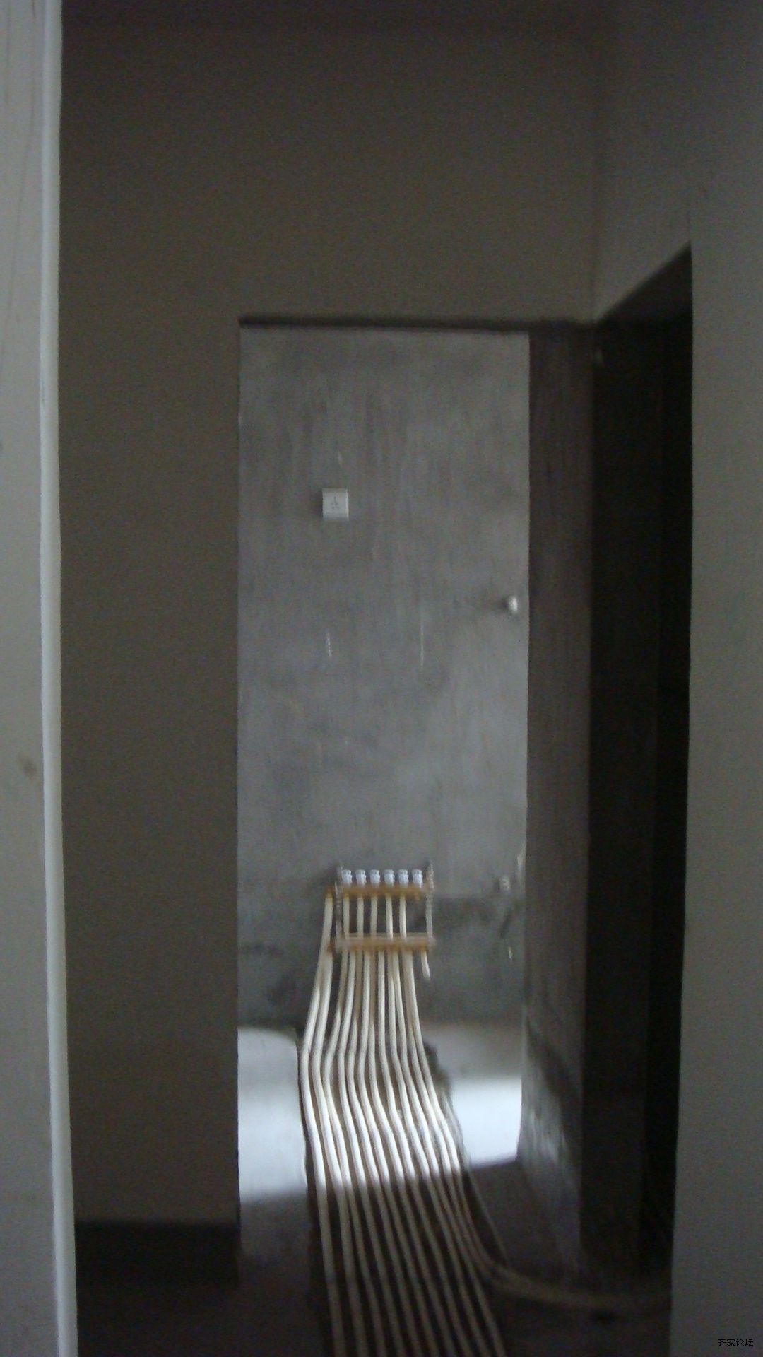 DSC01181.JPG