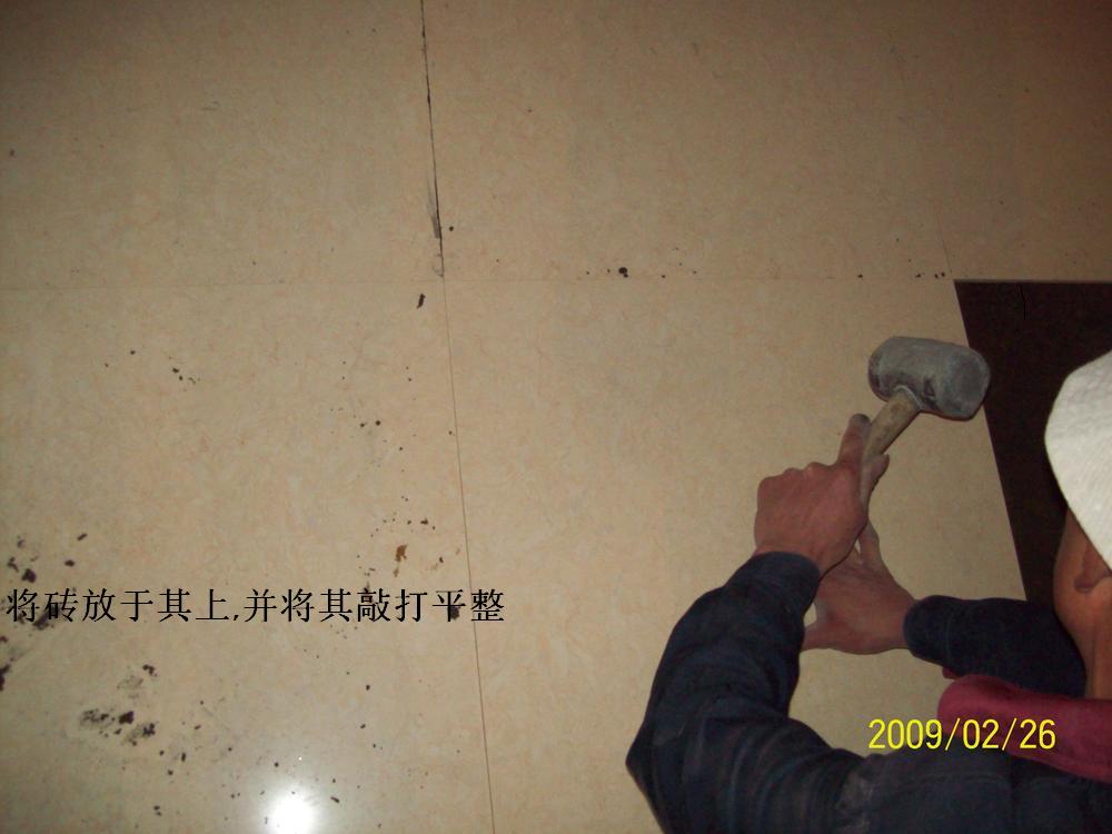 101_1979.jpg