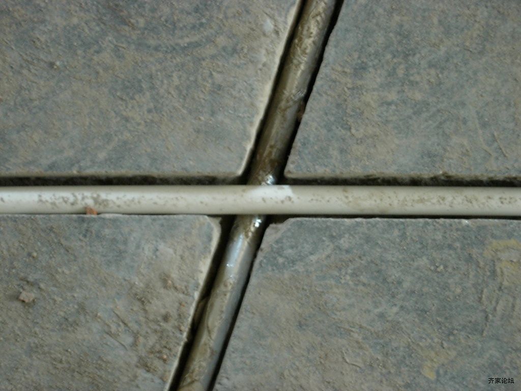 DSCN2611.JPG