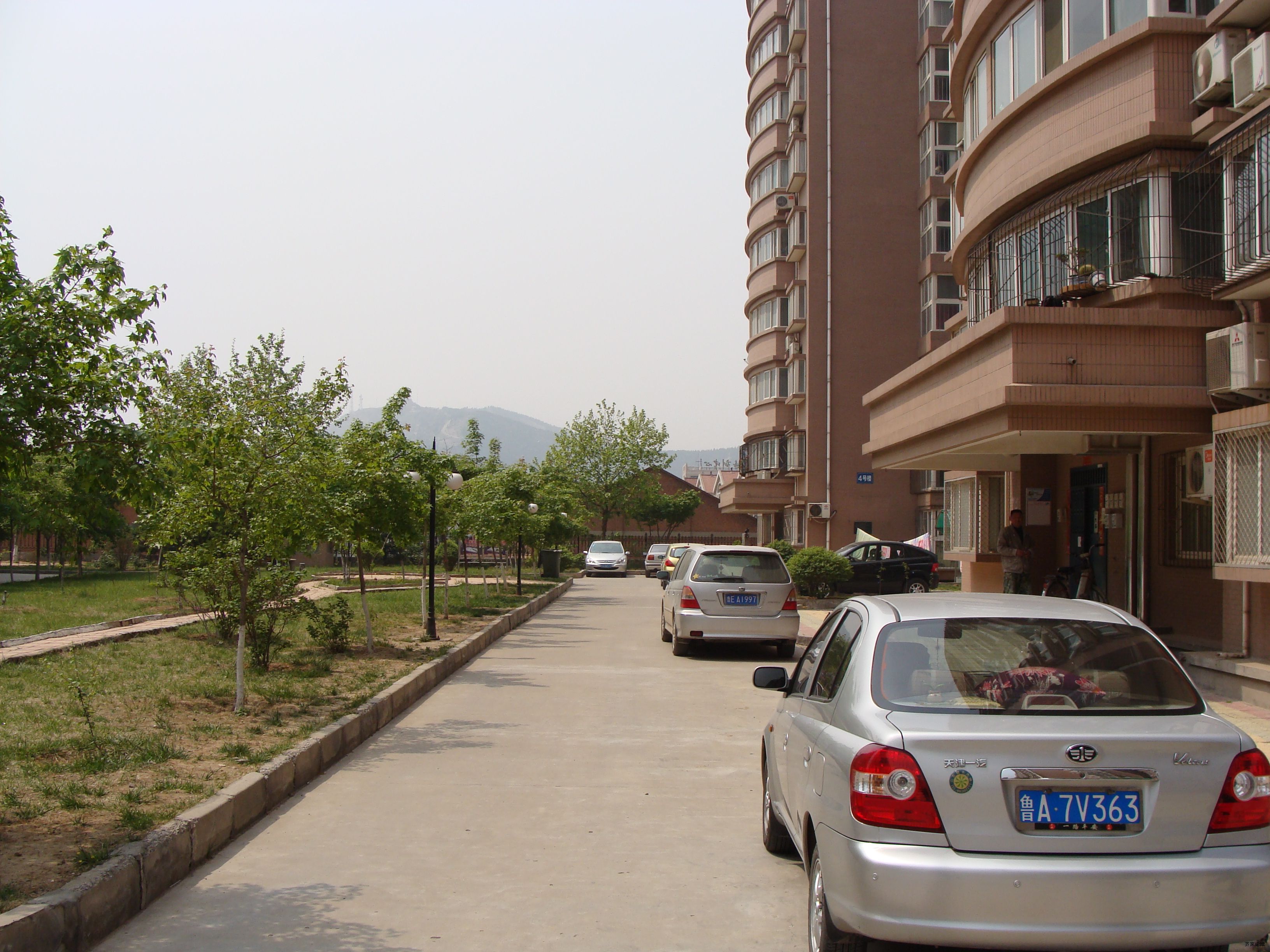 DSC01646.JPG