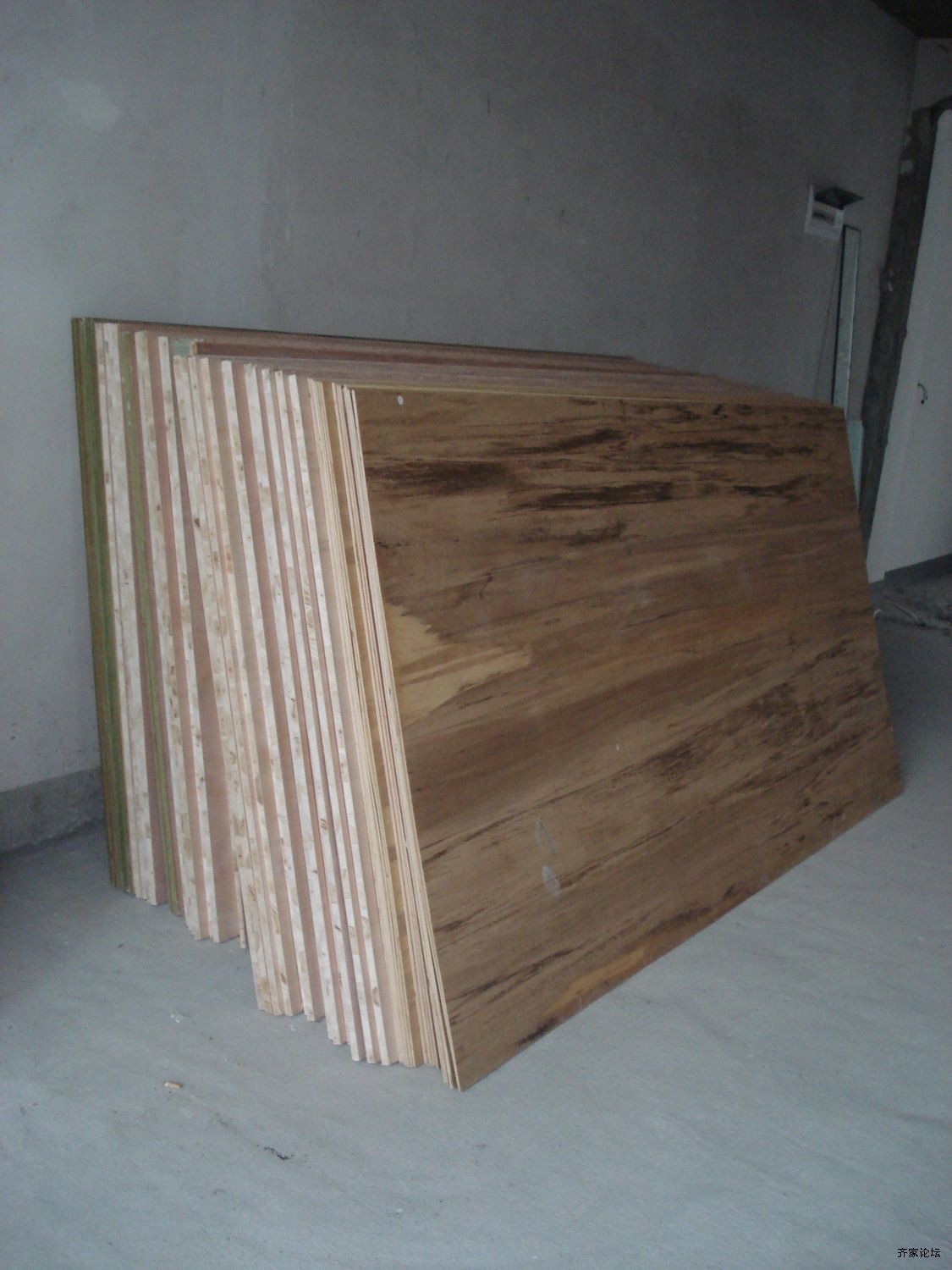 DSC03321-1.JPG