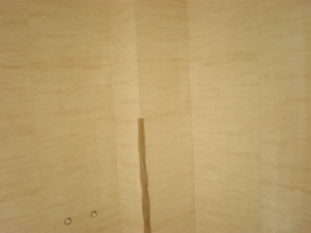 调整大小 P5300436.JPG