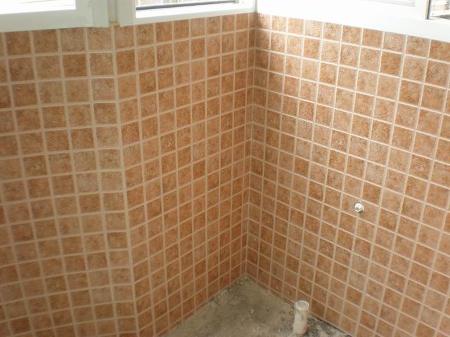 调整大小 P5300441.JPG