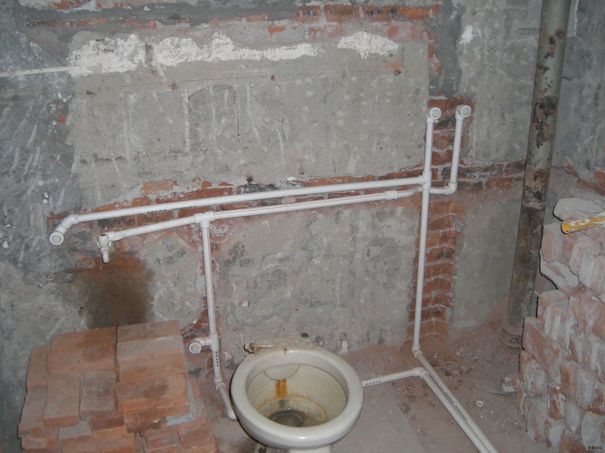 CIMG4788.JPG