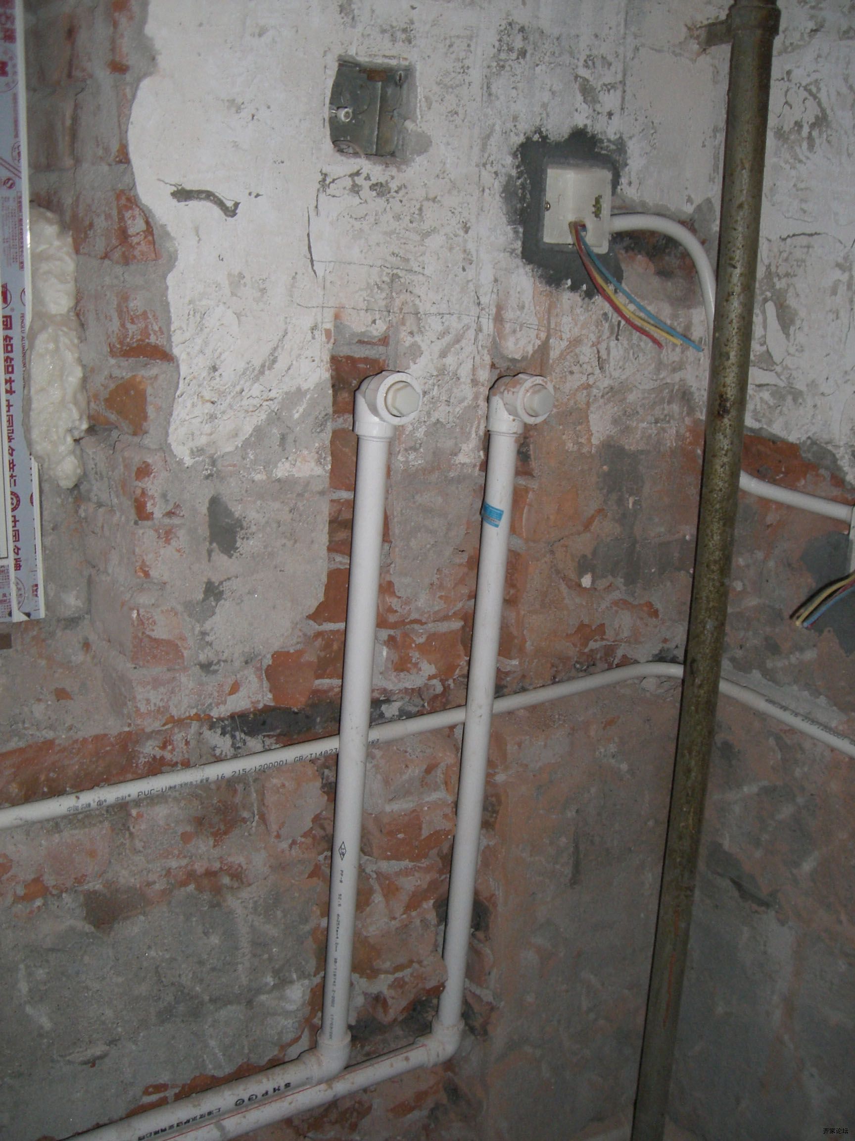 CIMG4786.JPG