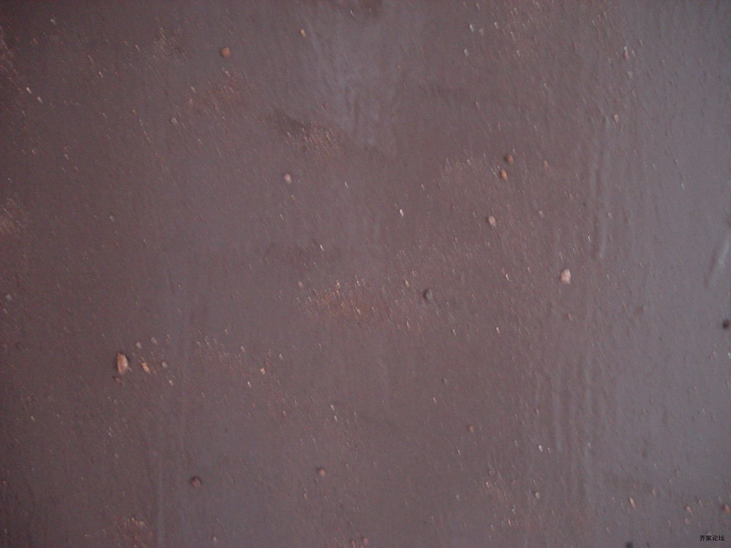 DSC03619-1.JPG