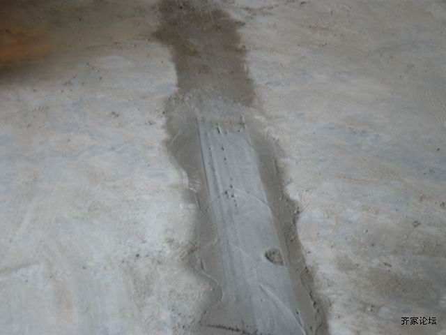 调整大小 P5210375.JPG