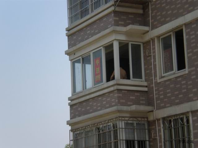 调整大小 P5220394.JPG