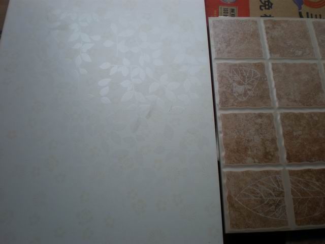 调整大小 P5220402.JPG