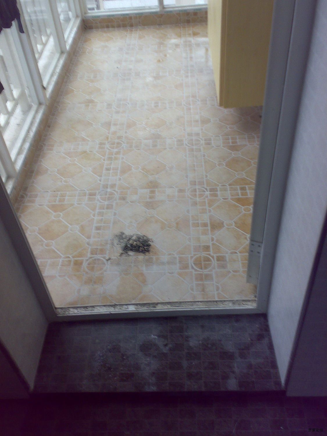 20090526606-1.JPG