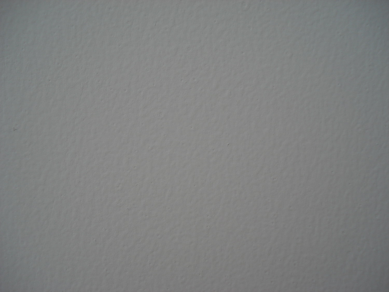 DSC03990-1.JPG