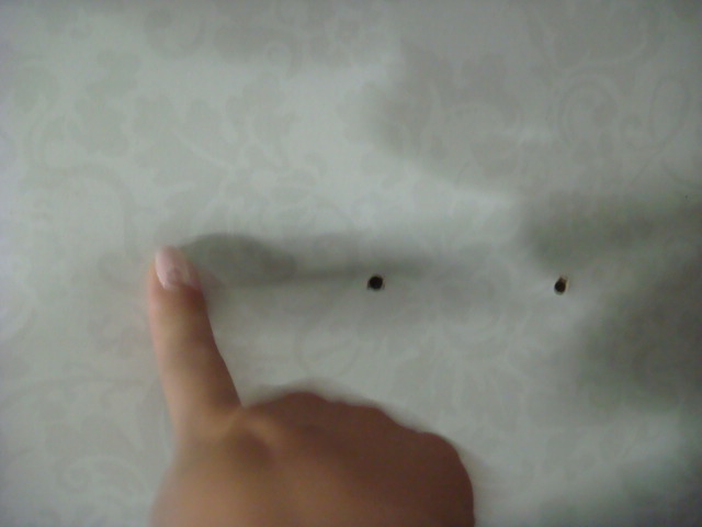 0906092222502c7a23896d3556.jpg