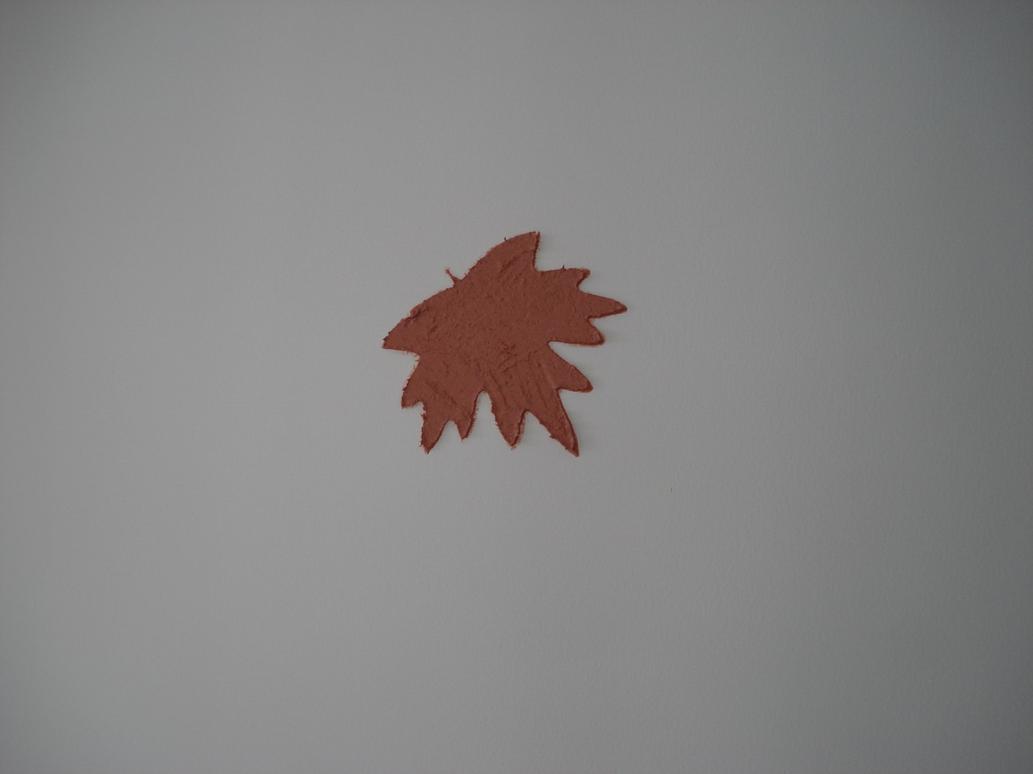 DSC04047-1.JPG