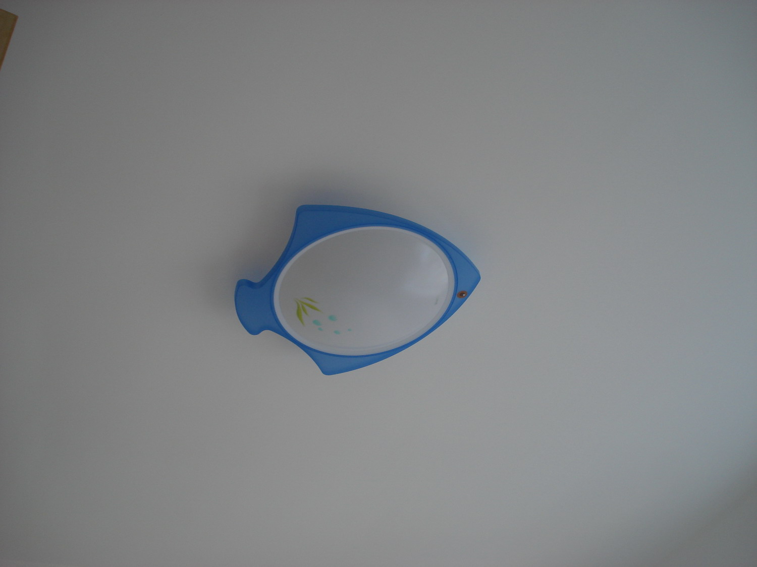 DSC04058-1.JPG