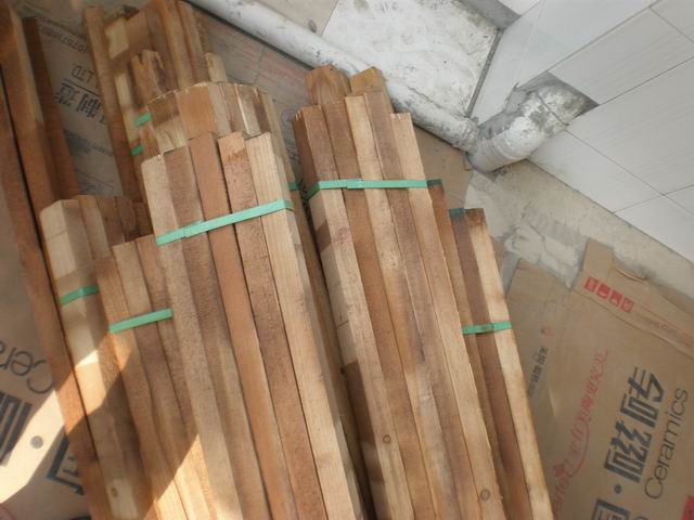 调整大小 P6160505.JPG