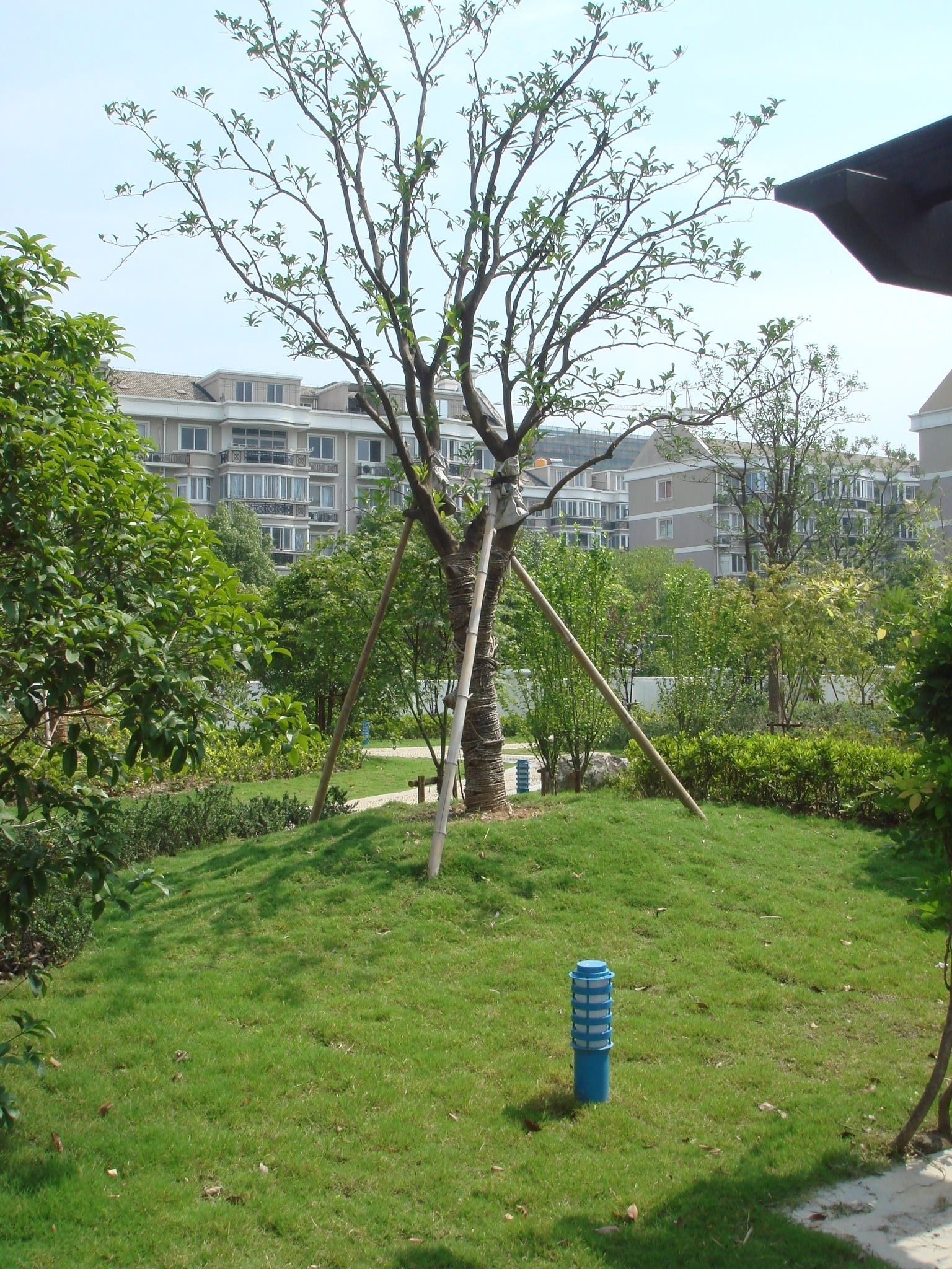 DSC00999.JPG