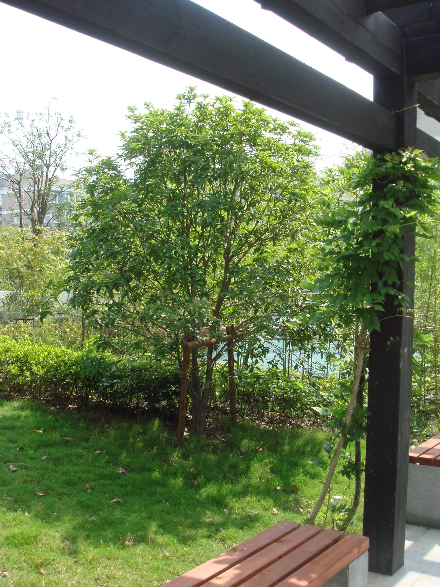 DSC01000.JPG