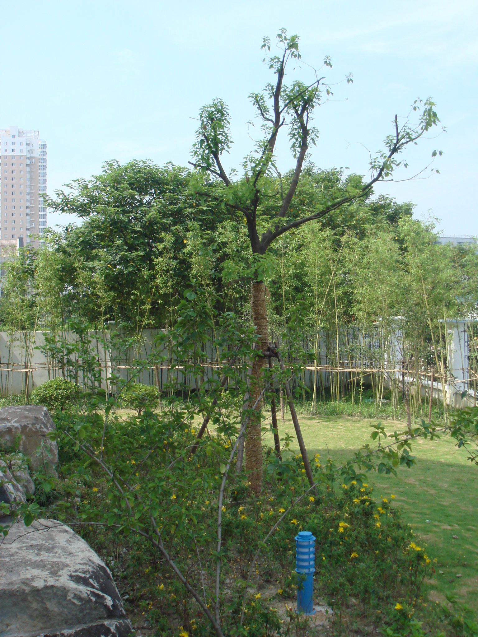 DSC00984.JPG